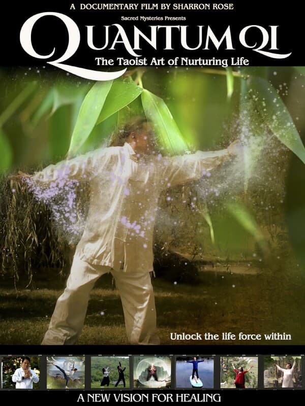 Poster of Quantum Qi